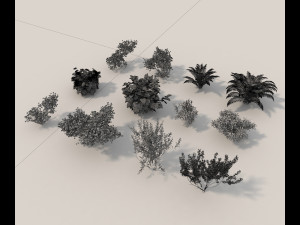 realistic garden shrub 3D Model