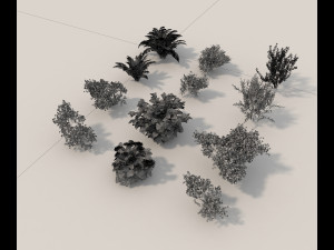 realistic garden shrub 3D Model
