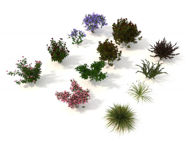realistic garden shrub 2 Model 3D .c4d .max .obj .3ds .fbx .stl .blend