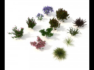 realistic garden shrub 2 3D Model