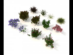 realistic garden shrub 2 Model 3D
