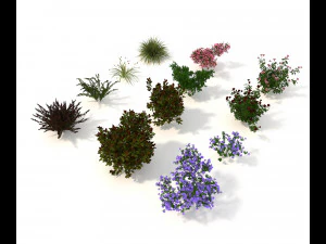 realistic garden shrub 2 3D Model