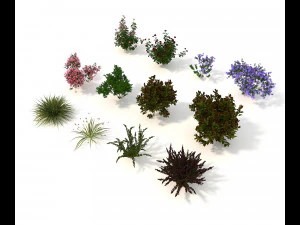 realistic garden shrub 2 3D Model