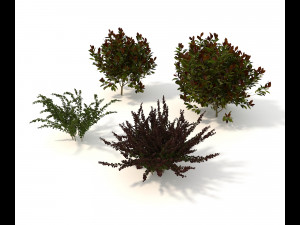 realistic garden shrub 2 Model 3D