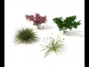 realistic garden shrub 2 3D Model
