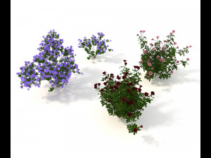 realistic garden shrub 2 Model 3D
