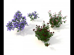 realistic garden shrub 2 3D Model