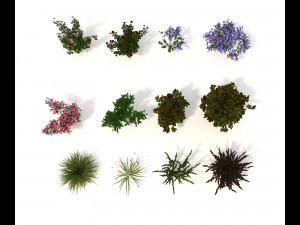 realistic garden shrub 2 Model 3D