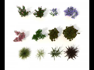 realistic garden shrub 2 3D Model