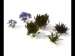 realistic garden shrub 2 Model 3D
