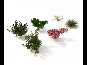 realistic garden shrub 2 3D Model