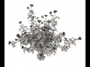 realistic garden shrub 2 3D Model
