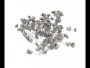 realistic garden shrub 2 Model 3D