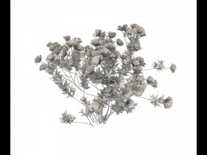 realistic garden shrub 2 3D Model