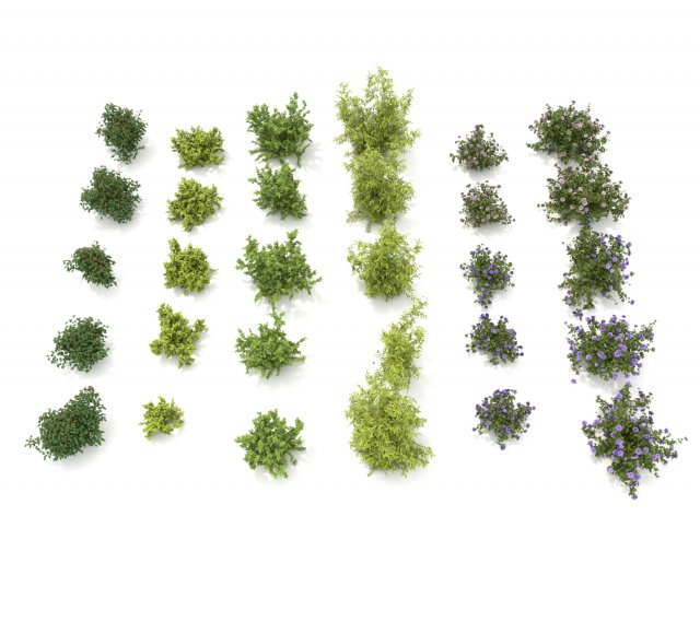 realistic garden shrub 3 Modelo 3D .c4d .max .obj .3ds .fbx .stl .blend 