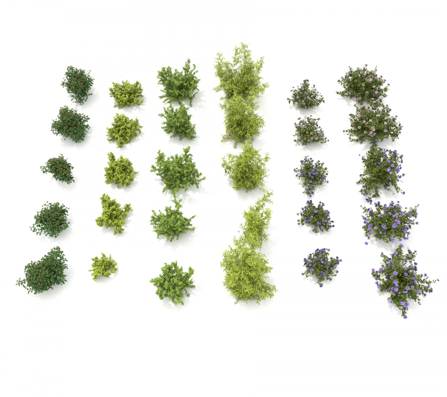 realistic garden shrub 3 3D Model .c4d .max .obj .3ds .fbx .stl .blend 