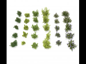 realistic garden shrub 3 3D Модель