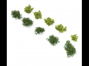 realistic garden shrub 3 3D Model