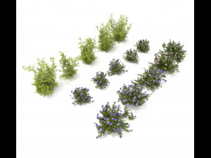 realistic garden shrub 3 Modelo 3D