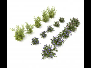realistic garden shrub 3 3D Model