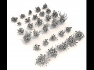 realistic garden shrub 3 Modelo 3D