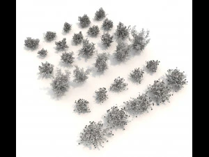 realistic garden shrub 3 3D Model