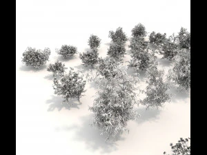 realistic garden shrub 3 3D Model
