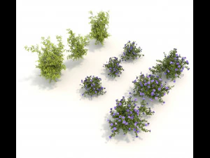 realistic garden shrub 3 3D Model