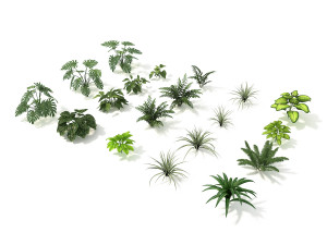shrub and bush colection Modèle 3D