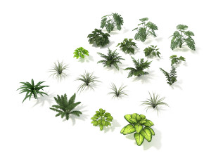 shrub and bush colection Modello 3D