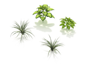 shrub and bush colection Modello 3D