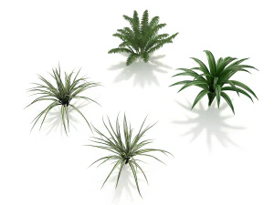 shrub and bush colection 3D Model