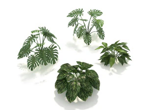 shrub and bush colection 3D Model