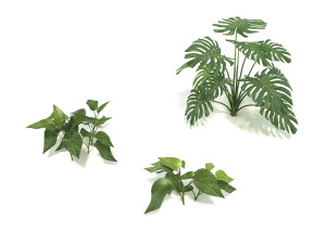 shrub and bush colection Modello 3D