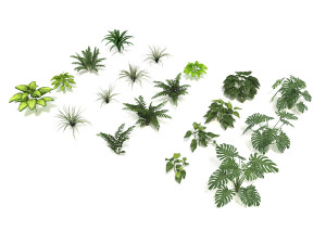 shrub and bush colection Modello 3D