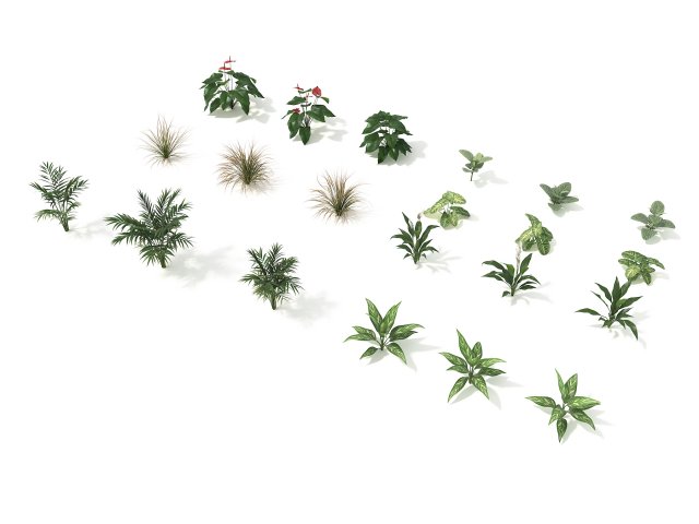 shrub and bush colection 2 Modelo 3D .c4d .max .obj .3ds .fbx .stl .blend 