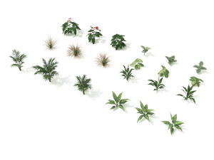 shrub and bush colection 2 3D 모델