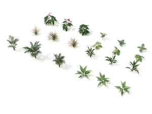 coleção de arbustos e arbustos 2 Modelo 3D