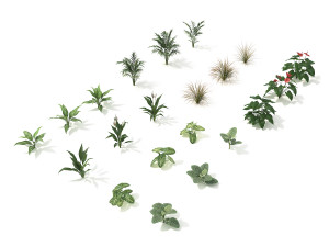 shrub and bush colection 2 Modelo 3D