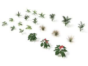 shrub and bush colection 2 Modelo 3D