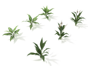 shrub and bush colection 2 Modelo 3D