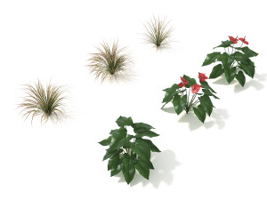 shrub and bush colection 2 Modelo 3D