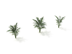 shrub and bush colection 2 Modelo 3D