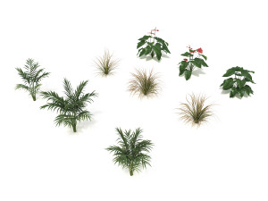 shrub and bush colection 2 Modelo 3D