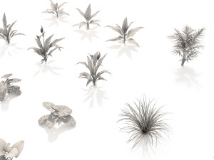 shrub and bush colection 2 Modelo 3D