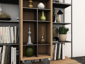 shelf and decorations Model 3D