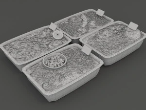 chinese fast food 3D Model