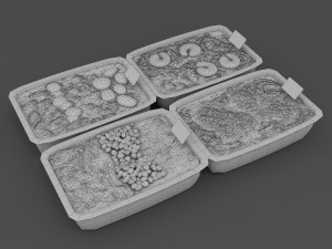 chinese fast food Model 3D