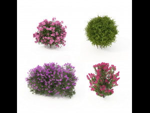 realistic shrub bush flower set 3D Model