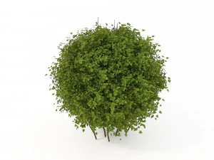 realistic shrub bush flower set 3D Model